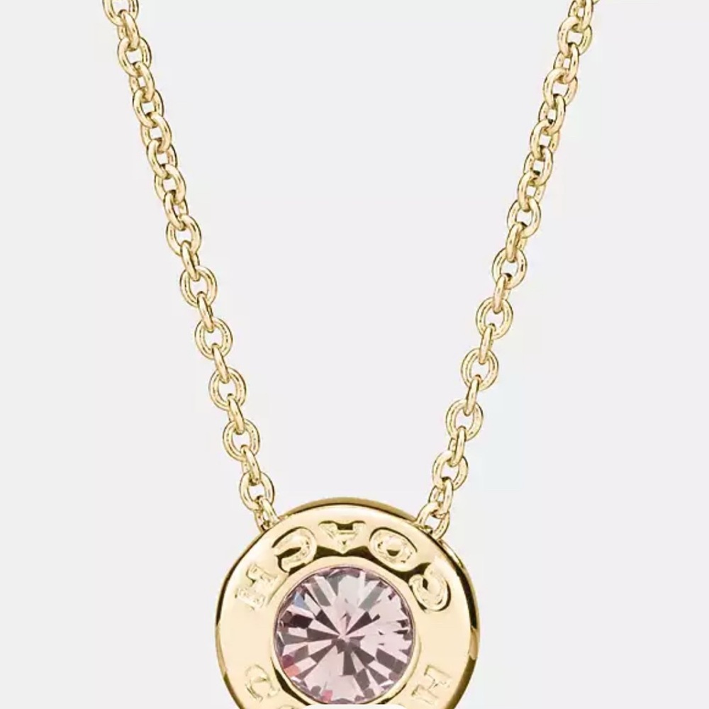 Coach necklace